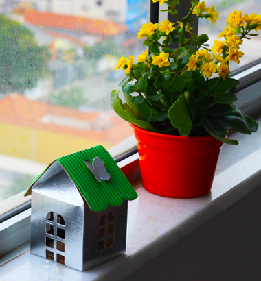 banner_home04